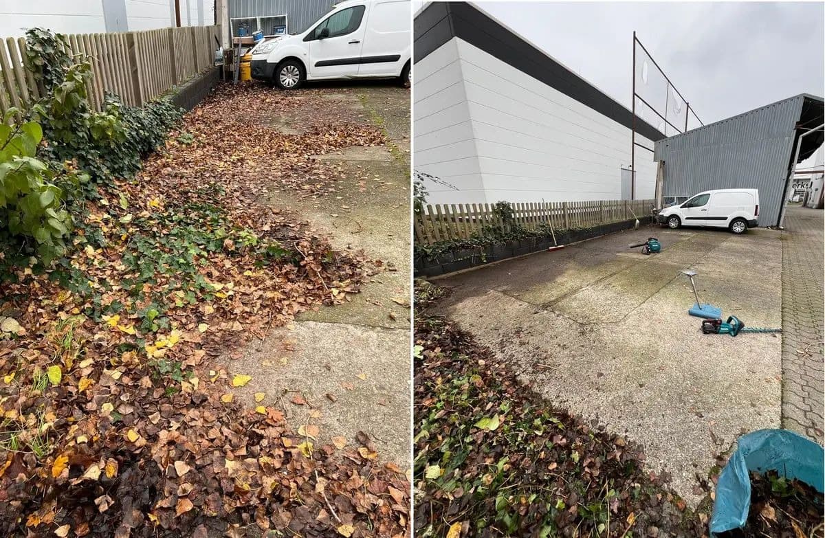 Laubbeseitigung — Vorher & Nachher